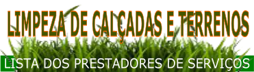 Imagem:Limpeza Terrenos
