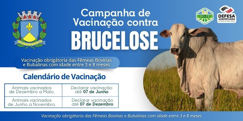 Foto: Campanha de Vacinação contra a Brucelose