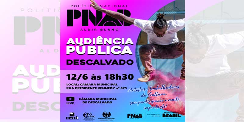 Foto: Audiência Pública – PNAB 2025