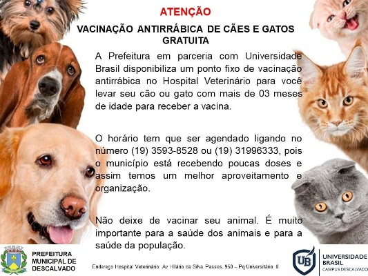 Cães e gatos podem receber vacina antirrábica gratuitamente em Descalvado