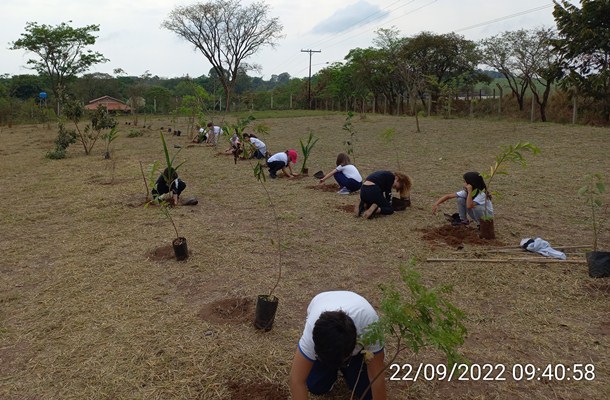 Alunos da EMEF Coronel Tobias plantam 100 mudas de espécies nativas em comemoração ao ‘Dia da Arvore’