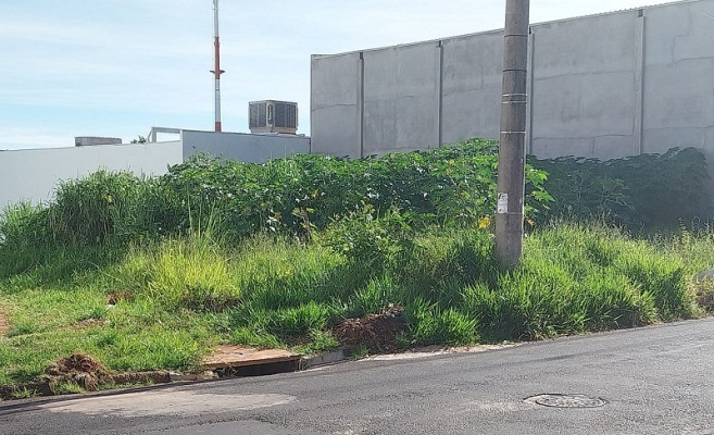 Terrenos particulares sujos podem render multas e taxas de até R$ 1 mil