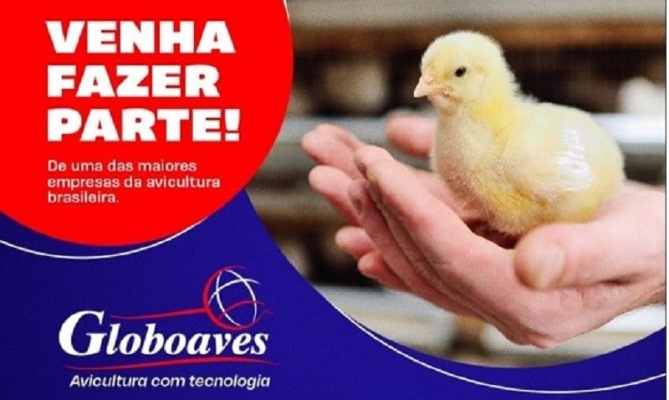PAT sediará processo seletivo da empresa Globoaves, no dia 4 de dezembro