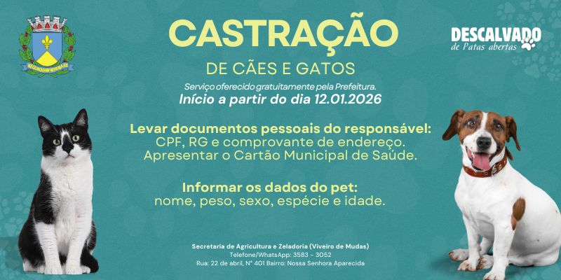 Foto: A Prefeitura Municipal de Descalvado, em parceria com a Associação dos Médicos Veterinários e Zootecnistas de Descalvado (AMVZD), mantém o Programa Gratuito de Castrações de Cães e Gatos, uma ação consolidada em nosso município há vários anos, reconhecida
