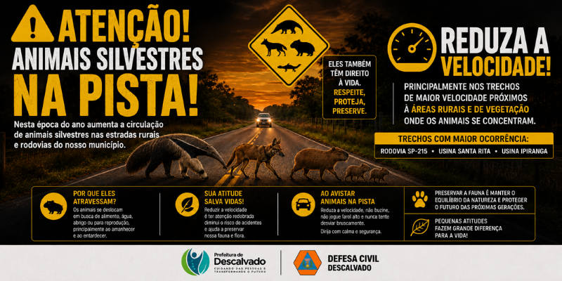 Foto: Atenção nas estradas: campanha orienta motoristas sobre a proteção da fauna silvestre em Descalvado